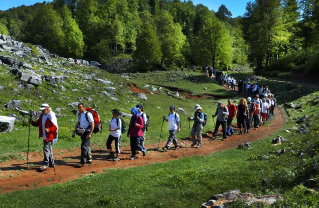 Menekşe Yaylası & Kırıntı Doğa Yürüyüşü