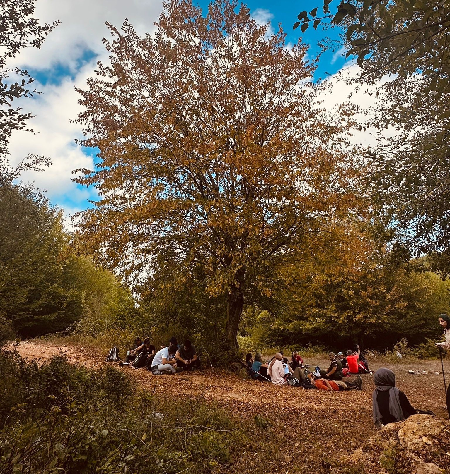 Şile/Yeniköy'de Doğa Yürüyüşü & Boşnak Mantısı