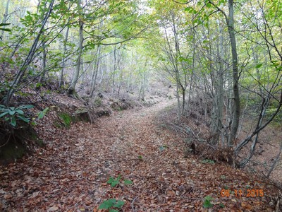 Karagöllü/Dümbüldek Doğa Yürüyüşü