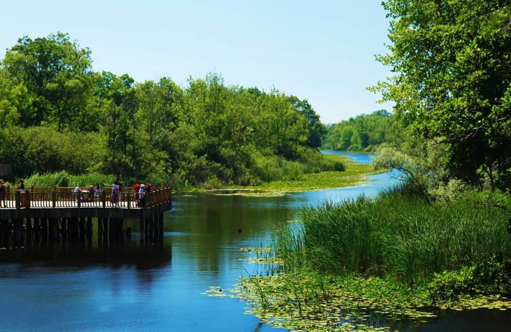 Acarlar Longozu/Poyrazlar Gölü Doğa Yürüyüşü ve Kahvaltı