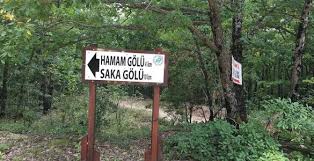 İğneada Longoz Trekking/Hamam Gölü Kamp