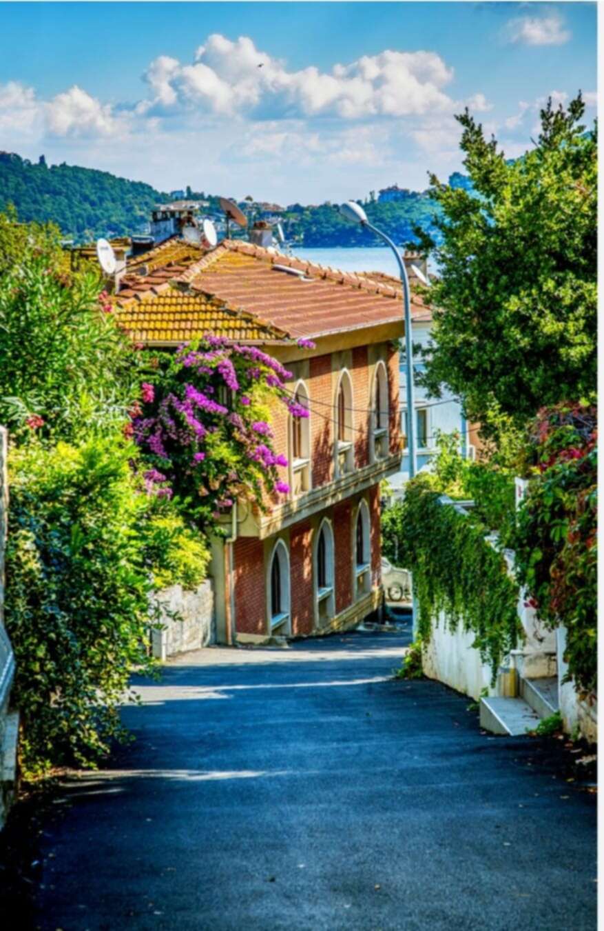 28 ARALIK – SEVİLAY & FATOŞ İLE BURGAZADA YÜRÜYÜŞÜ