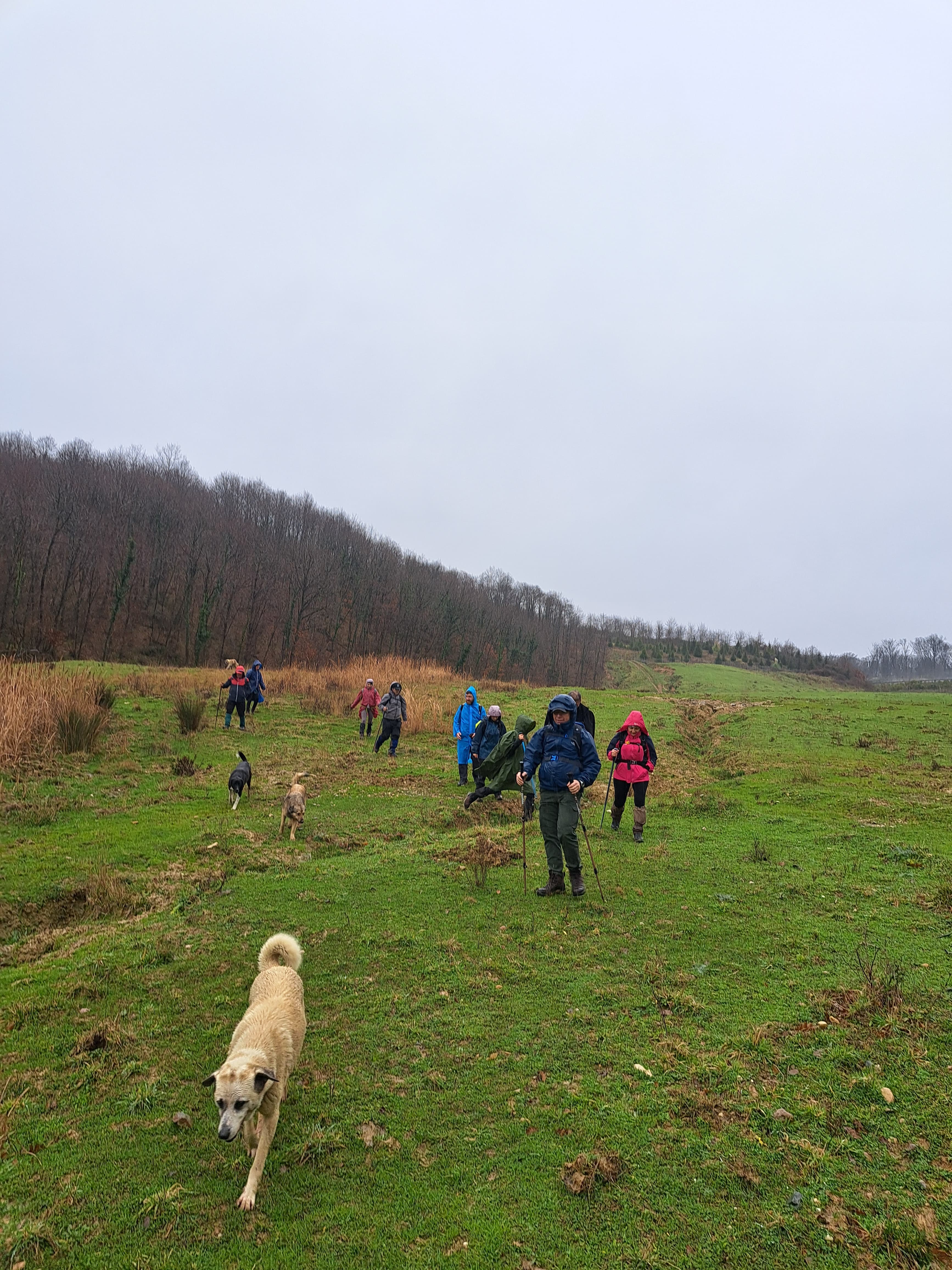 Kemerburgaz'dan Kısırkaya'ya: Belgrad Ormanında Doğa Yürüyüşü