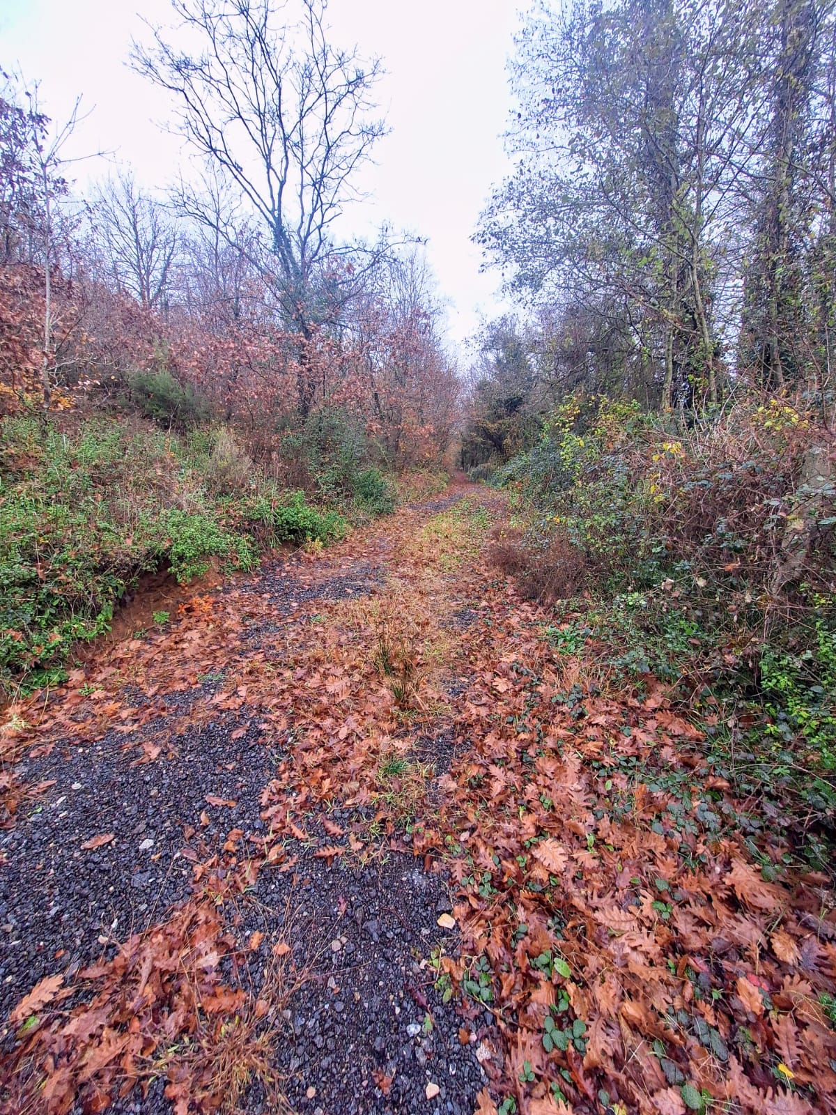 Beykoz Köyleri Keşif Yürüyüşü
