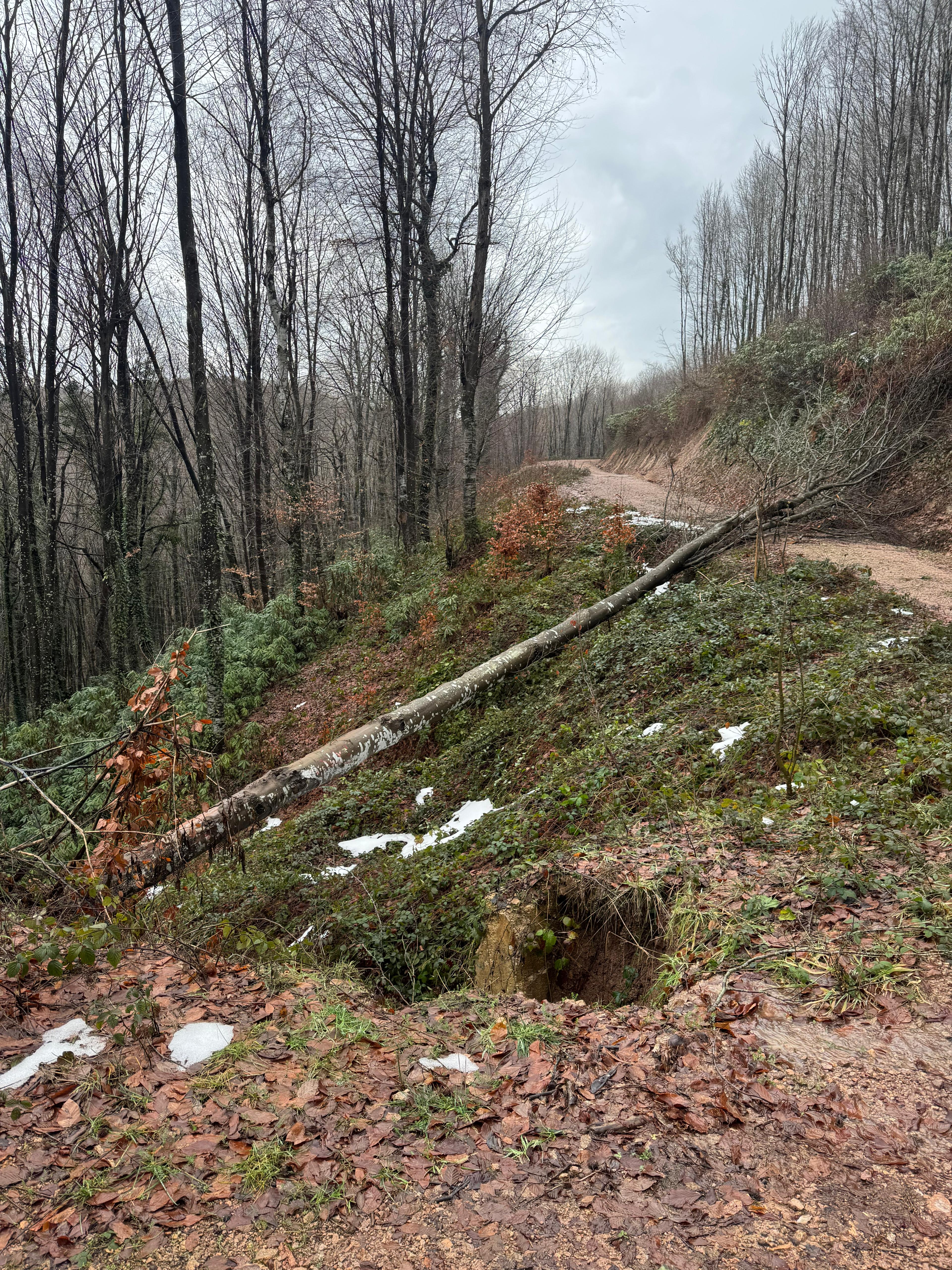 Karamandere/Kurşunlugerme Doğa Yürüyüşü