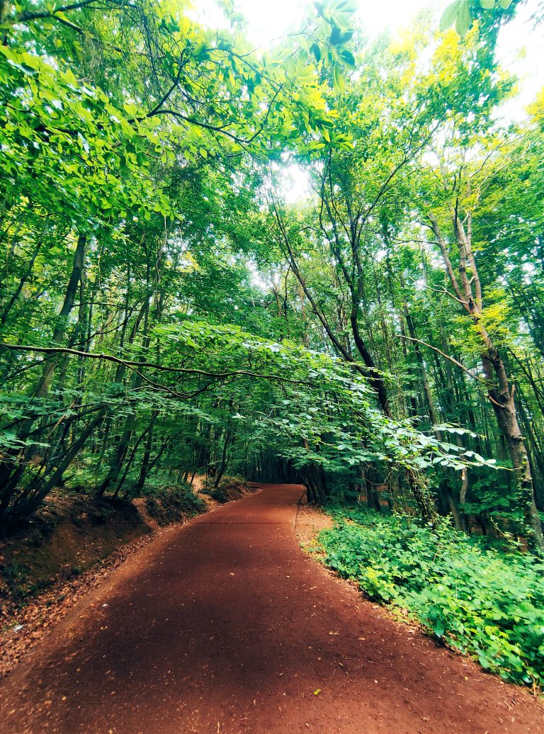 Sevilay & Fatoş ile Polonezköy Yangın Gözetleme Kulesi Doğa Yürüyüşü