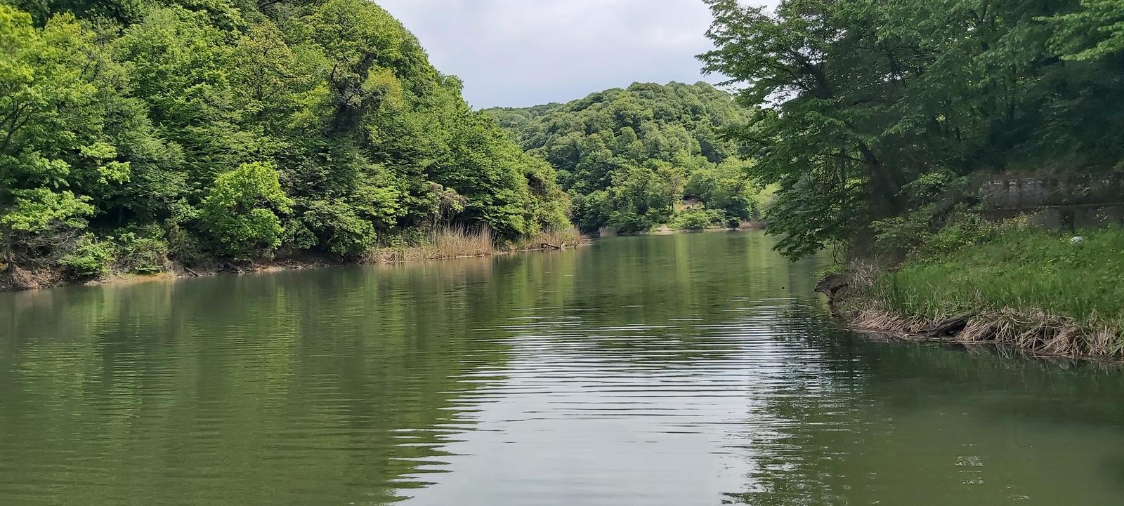 Atatürk Arboretumu 12 km Doğa Yürüyüşü