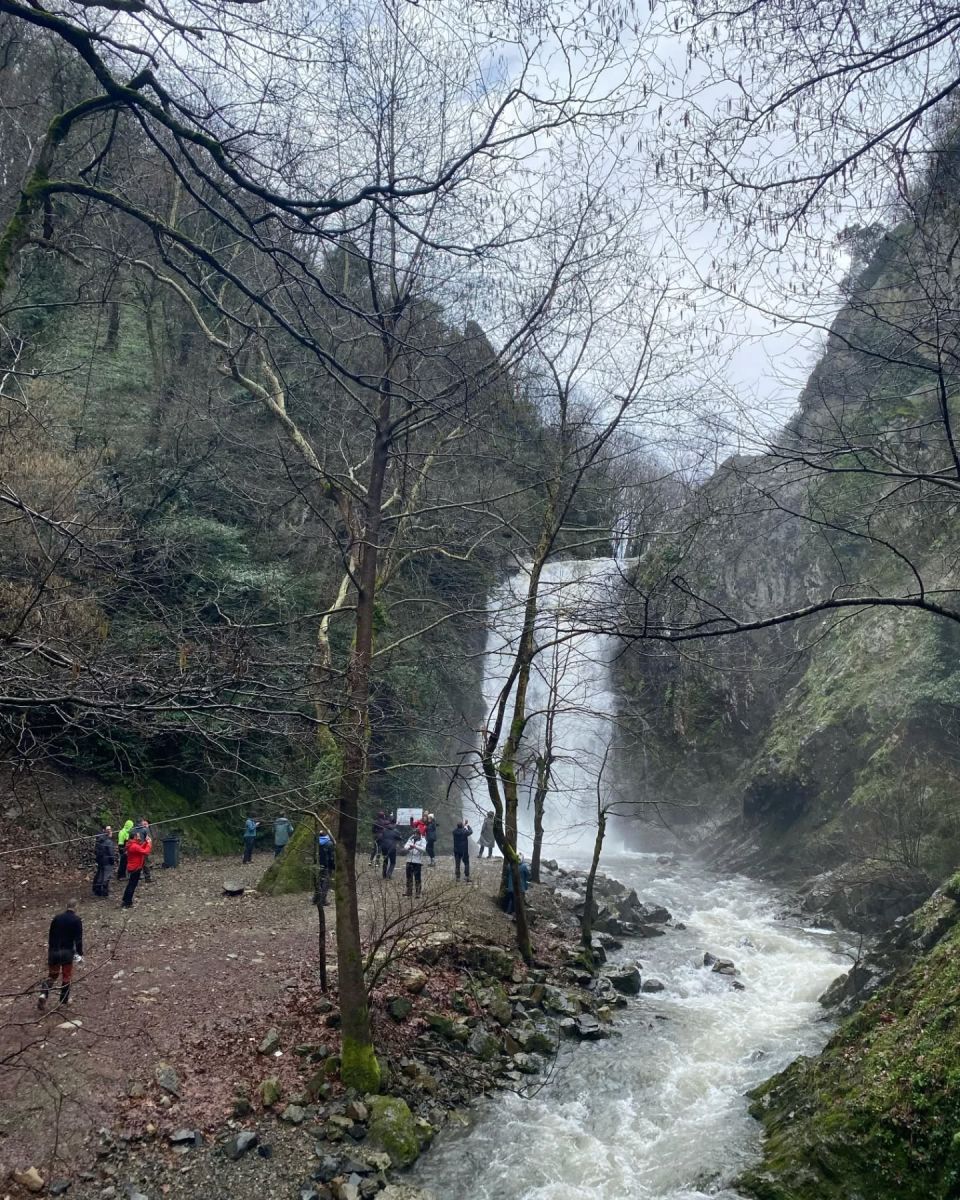 Haydariye Ormanları/Yatakkaya Şelalesi Doğa Yürüyüşü