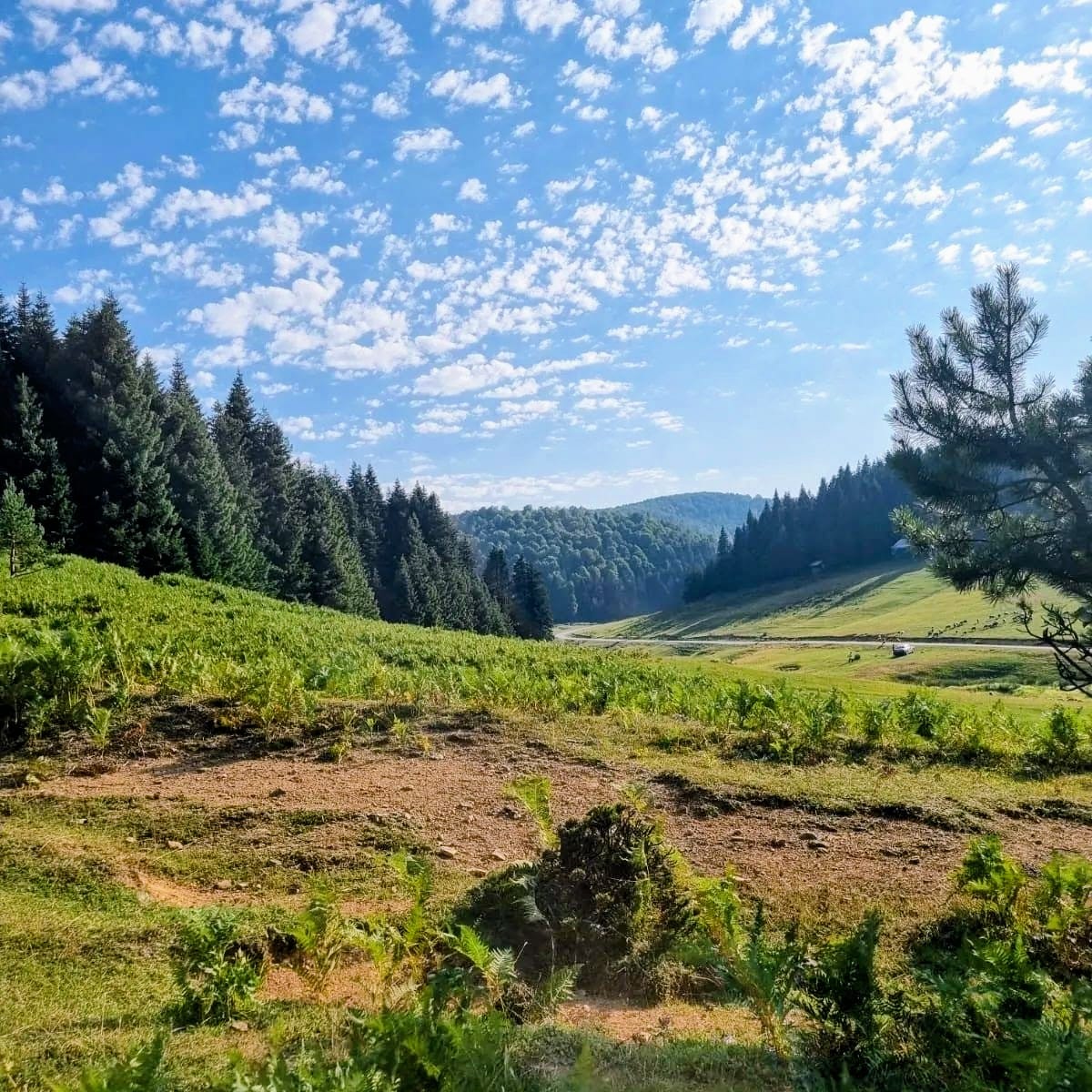 Ercova Yaylası Çadır Kampı