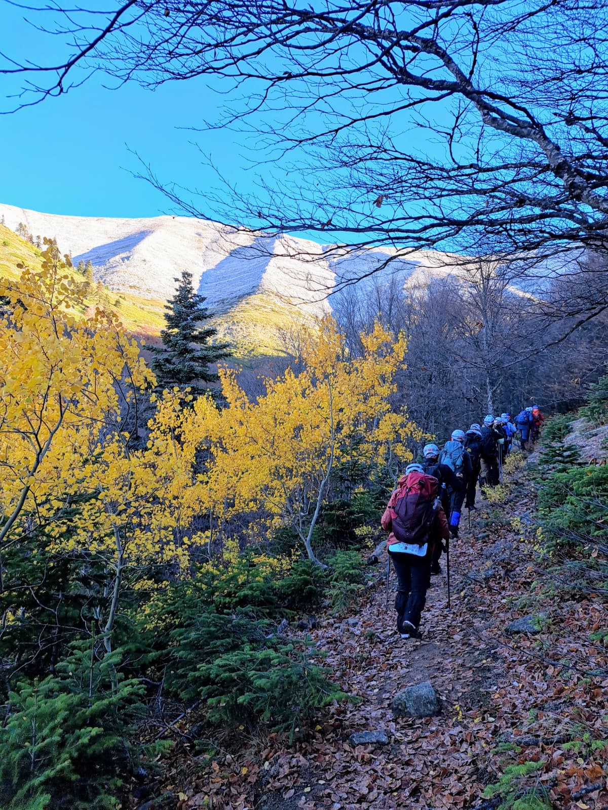 Uludağ Zirve Faaliyeti