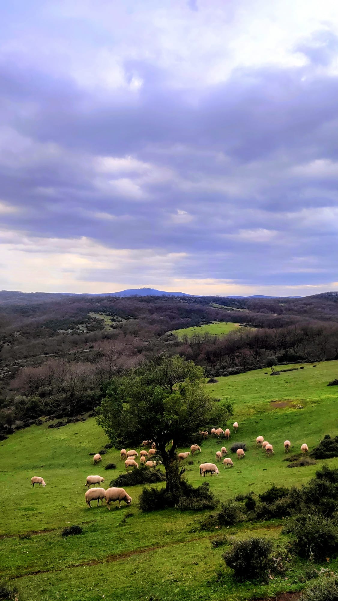 Sevilay & Fatoş ile Denizli Göleti - Yörükler Yaylası yürüyüşü ve  kampı