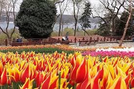 Boğaz'ın Saklı Bahçeleri Arasında Yürüyoruz