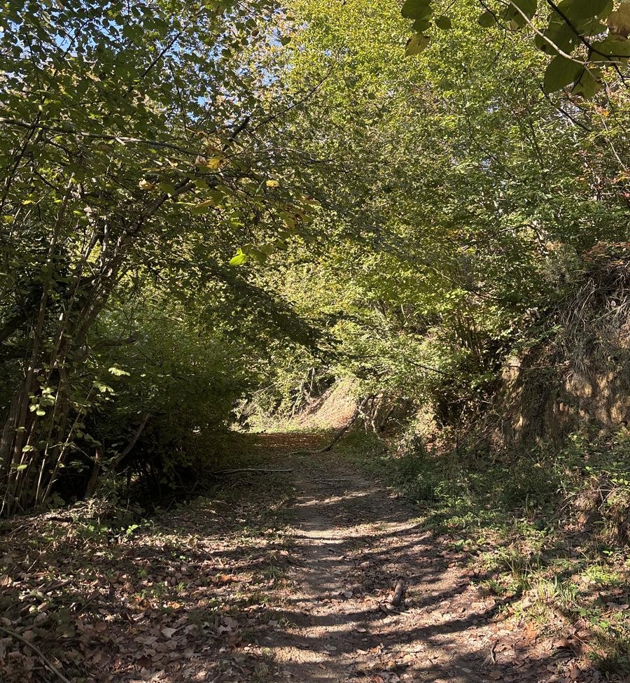 Zerzevatci Köyü Doğa Yürüyüşü