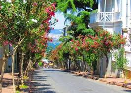 Büyükada'da Bahara Merhaba