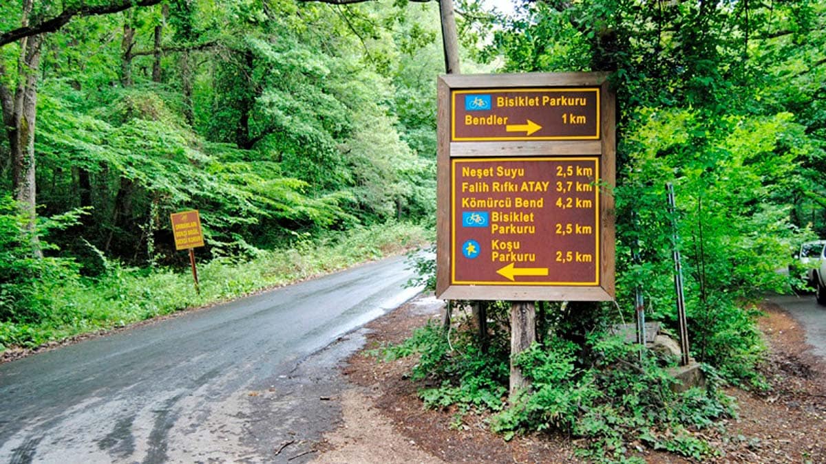 Belgrad Ormanında Baharın Renkleri