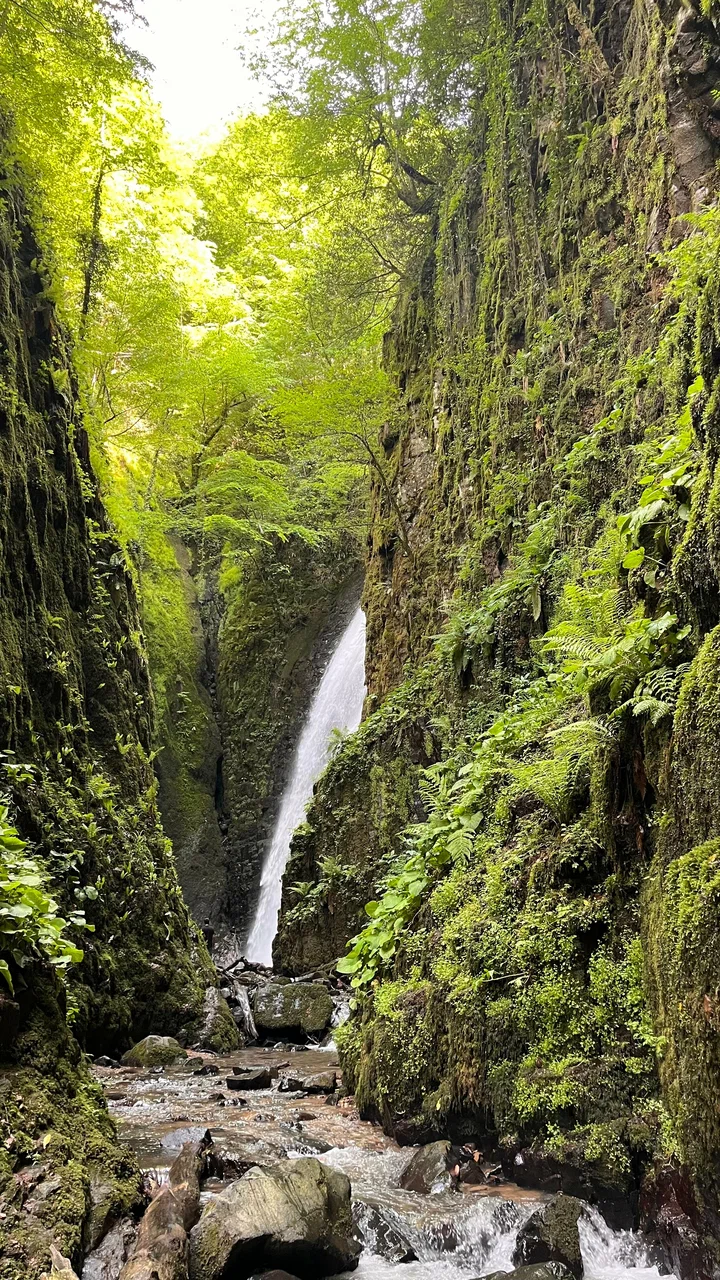 Serindere Kanyonu  ve Nüzhetiye Şelalesi Doğa Yürüyüşü